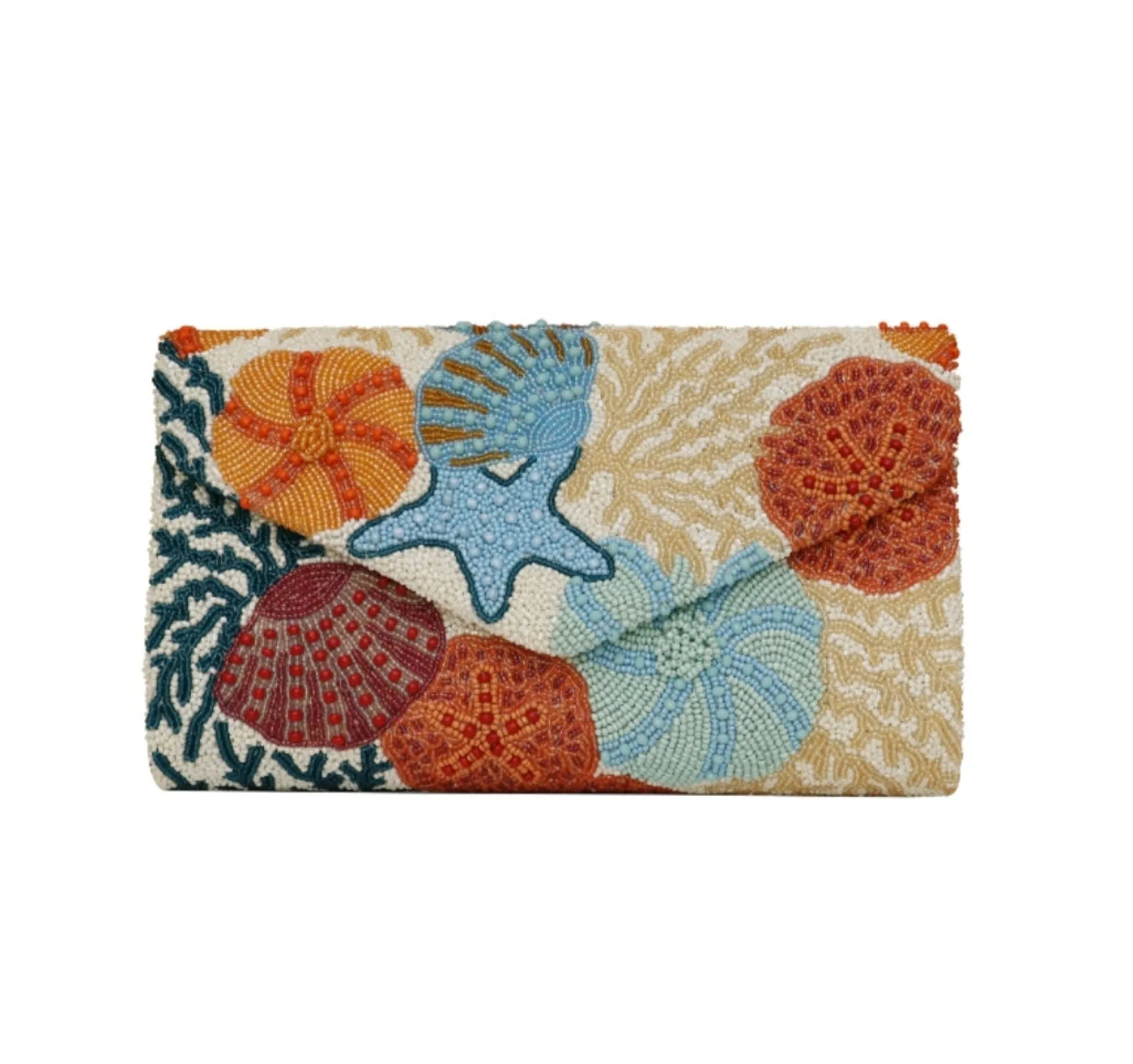 Starfish and Shells